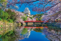 桜咲く姫路城−兵庫（風景）　1000ピース　ジグソーパズル　APP-1000-833