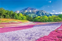 春のじゅうたん羊山公園 （風景）　1000ピース　ジグソーパズル　APP-1000-883