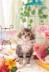 うるふわにゃんこ　300ピース　ジグソーパズル　●予約　APP-300-400