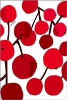 Plune.シリーズ 大きな木の実 　120ピース　ジグソーパズル　APP-120-010　［CP-AS］