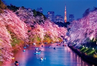 千鳥ヶ淵の夜桜 （風景）　300ピース　ジグソーパズル　BEV-33-207　［CP-SA］