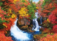 秋の竜頭の滝 （風景）　600ピース　ジグソーパズル　BEV-66-234