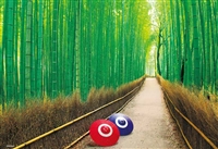 嵯峨野の竹林（風景）　500ピース　ジグソーパズル　BEV-500S-012