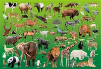 動物園 （ペット・動物）　100ピース　ジグソーパズル　BEV-100-041　［CP-CH］
