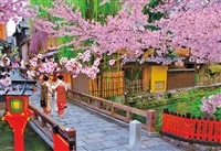 桜咲く祇園 （国内風景）　300ピース　ジグソーパズル　●予約　BEV-300-182