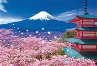 春の富士と浅間神社 （国内風景）　1000ピース　ジグソーパズル　●予約　BEV-1000-138