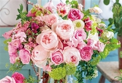 祝福のプリマローザ　 　300ピース　ジグソーパズル　●予約　BEV-300-192