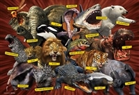 超危険生物　(服部雅人)　150ピース　ジグソーパズル　BEV-150L-004