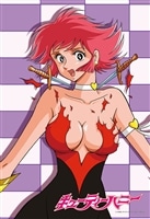 ハニー 危機一髪！　(キューティーハニー)　300ピース　ジグソーパズル　CUT-300-370