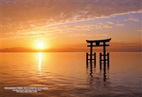 新製品｜商品ページ｜日本最大級のジグソーパズル専門ネットショップ