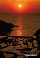 佐賀県東松浦郡「浜野浦の棚田の夕焼け」　300ピース　ジグソーパズル　●予約　CUT-300-482