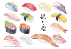 食の専科 握り鮨（透明水彩イラスト）　300ピース　ジグソーパズル　●予約　CUT-300-504　［CP-FO］