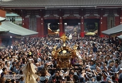 東京都台東区「浅草三社祭」　300ピース　ジグソーパズル　●予約　CUT-300-601