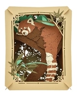 レッサーパンダ　　ENS-PT-260