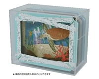 ディスプレイケース　　ENS-PT-CS2N