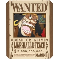 マーシャル・D・ティーチワンピース　　ENS-PT-370