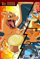 かえんポケモン リザードン　 （ポケットモンスター）　300ピース　ジグソーパズル　●予約　ENS-300-ML11