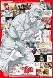 今日も活躍中！ （はたらく細胞）　300ピース　ジグソーパズル　ENS-300-3192