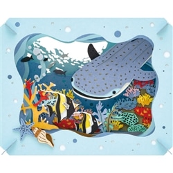 ジンベイザメ　　ENS-PT-397