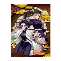 ペーパーシャドーアートミニ 胡蝶しのぶ＆栗花落カナヲ（鬼滅の刃）　(鬼滅の刃)　●予約　ENS-SA-M83　［CP-PA］