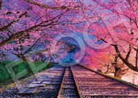 桜の蹴上インクライン - 京都 （国内風景）　500ピース　ジグソーパズル　EPO-05-123s　［CP-WS］