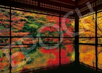 瑠璃光院の紅葉 -京都 （国内風景）　500ピース　ジグソーパズル　EPO-05-203s　［CP-WS］