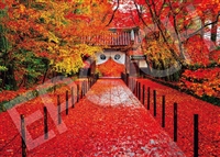 深秋の光明寺−京都 （風景）　500ピース　ジグソーパズル　EPO-06-302s