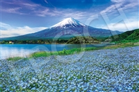 ネモフィラ咲く富士  -山梨 （国内風景）　1000ピース　ジグソーパズル　EPO-09-040s