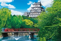 新緑の姫路城-兵庫 （国内風景）　1000ピース　ジグソーパズル　EPO-10-755