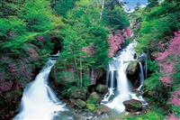 竜頭の滝-栃木（国内風景）　1000ピース　ジグソーパズル　EPO-10-784