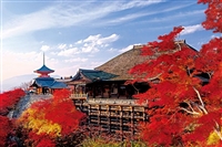 秋深まる清水寺-京都 （風景）　1000ピース　ジグソーパズル　EPO-10-786　［CP-JP］
