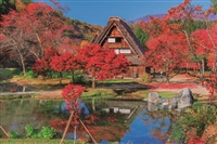 秋色に染まる白川郷 -岐阜 （風景）　1000ピース　ジグソーパズル　EPO-10-812