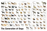 犬の系統図 （いぬ）　1000ピース　ジグソーパズル　EPO-11-372