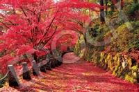 吉野山の紅葉景-奈良 （風景）　2016ピース　ジグソーパズル　EPO-22-116s