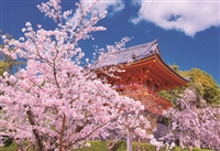 桜の仁和寺-京都（風景）　300ピース　ジグソーパズル　EPO-25-156