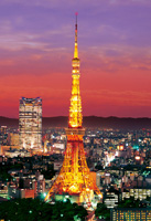 東京タワーライトアップ （風景）　300ピース　ジグソーパズル　EPO-26-129