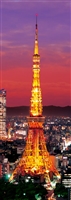 東京タワー ライトアップ　420ピース　EPO-52-105