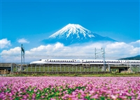れんげの花と富士山 （静岡）（風景）　500ピース　ジグソーパズル　YAM-05-1016　［CP-FJ］
