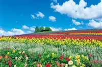 富良野を彩る花の丘  （北海道）（風景）　1000ピース　ジグソーパズル　YAM-10-1344