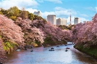 千鳥ヶ淵の花見桜(東京)　1000ピース　ジグソーパズル　YAM-10-1436　［CP-SS］