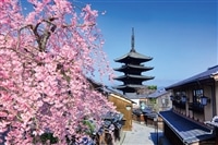 桜と望む八坂の塔（京都） （国内風景）　1000ピース　ジグソーパズル　●予約　YAM-10-1505