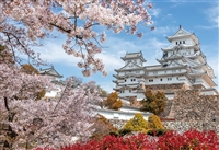 桜時の姫路城 (兵庫)（風景）　1000ピース　ジグソーパズル　YAM-13-08