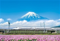 れんげの花と富士山(静岡)（風景）　500ピース　ジグソーパズル　YAM-35-26　［CP-FJ］