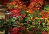 秋夜の百済寺庭園（滋賀）（風景）　108ピース　ジグソーパズル　YAM-01-2084