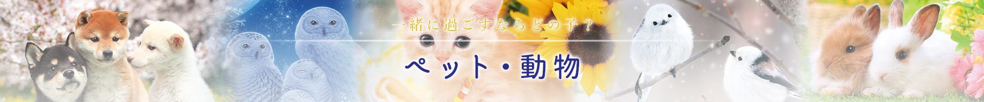 ペット・動物