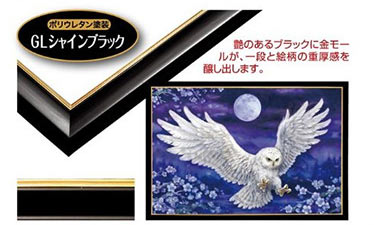 ゴールドライン シャインブラック