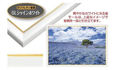 ゴールドライン シャインホワイト