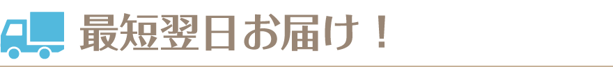 最短で翌日配送！