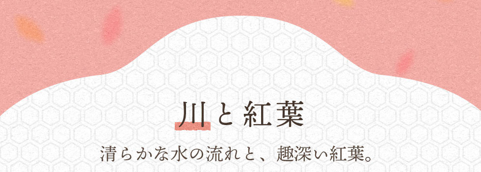 川と紅葉　清らかな水の流れと、趣深い紅葉。