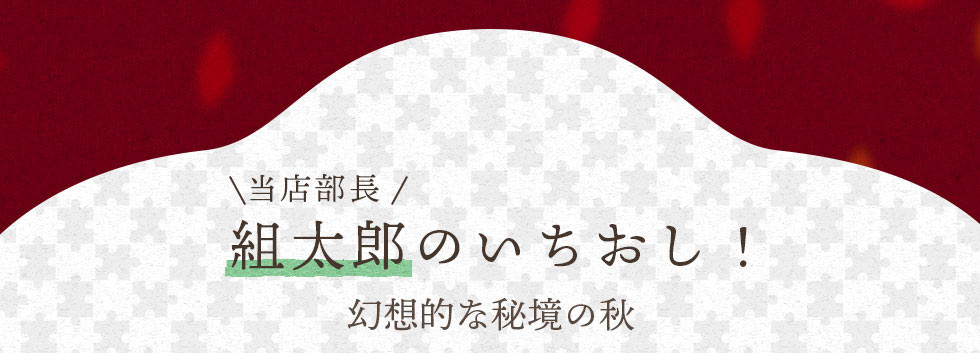 当店部長 組太郎のいちおし！　幻想的な秘境の秋